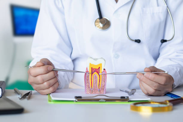 Best Knocked-Out Tooth (Avulsed Tooth) Treatment in Gnadenhutten, OH